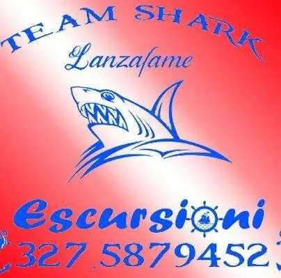 Team Shark
