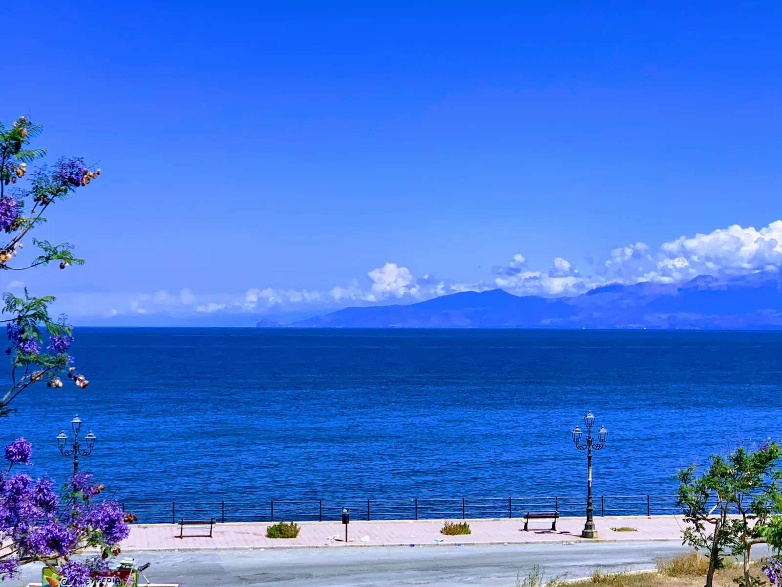 Gabbiano Blu