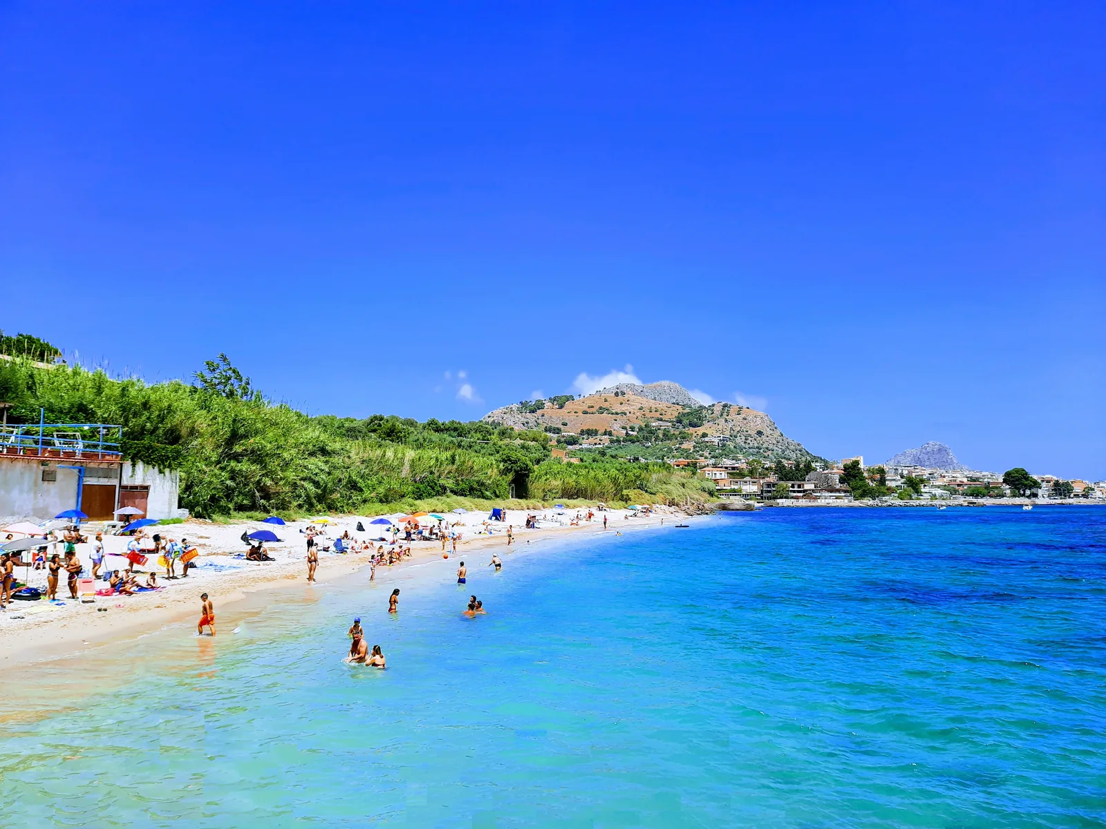 Gabbiano Blu