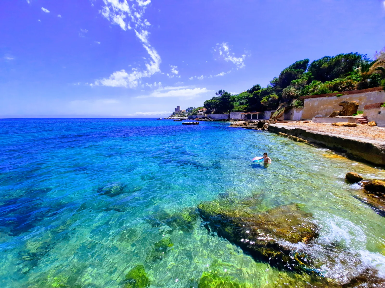Gabbiano Blu