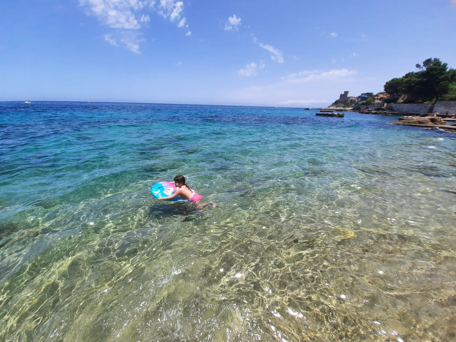 Gabbiano Blu