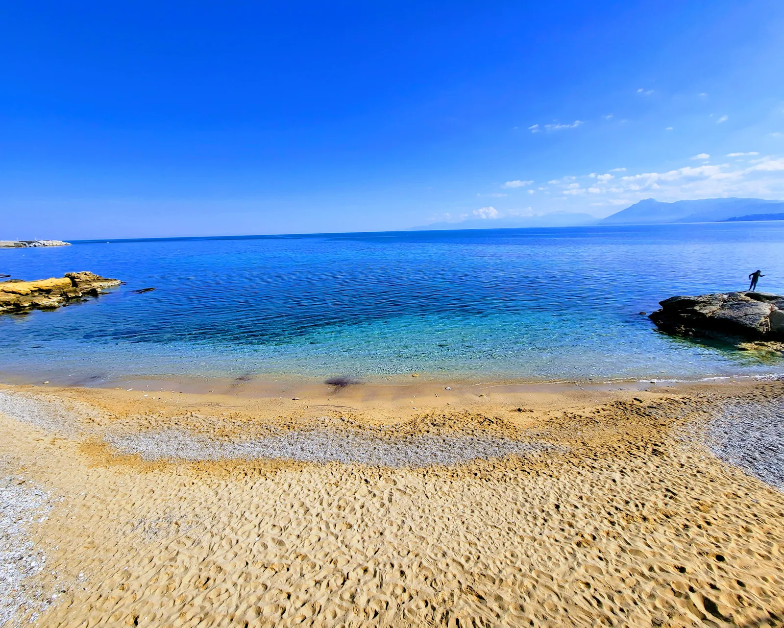 Gabbiano Blu