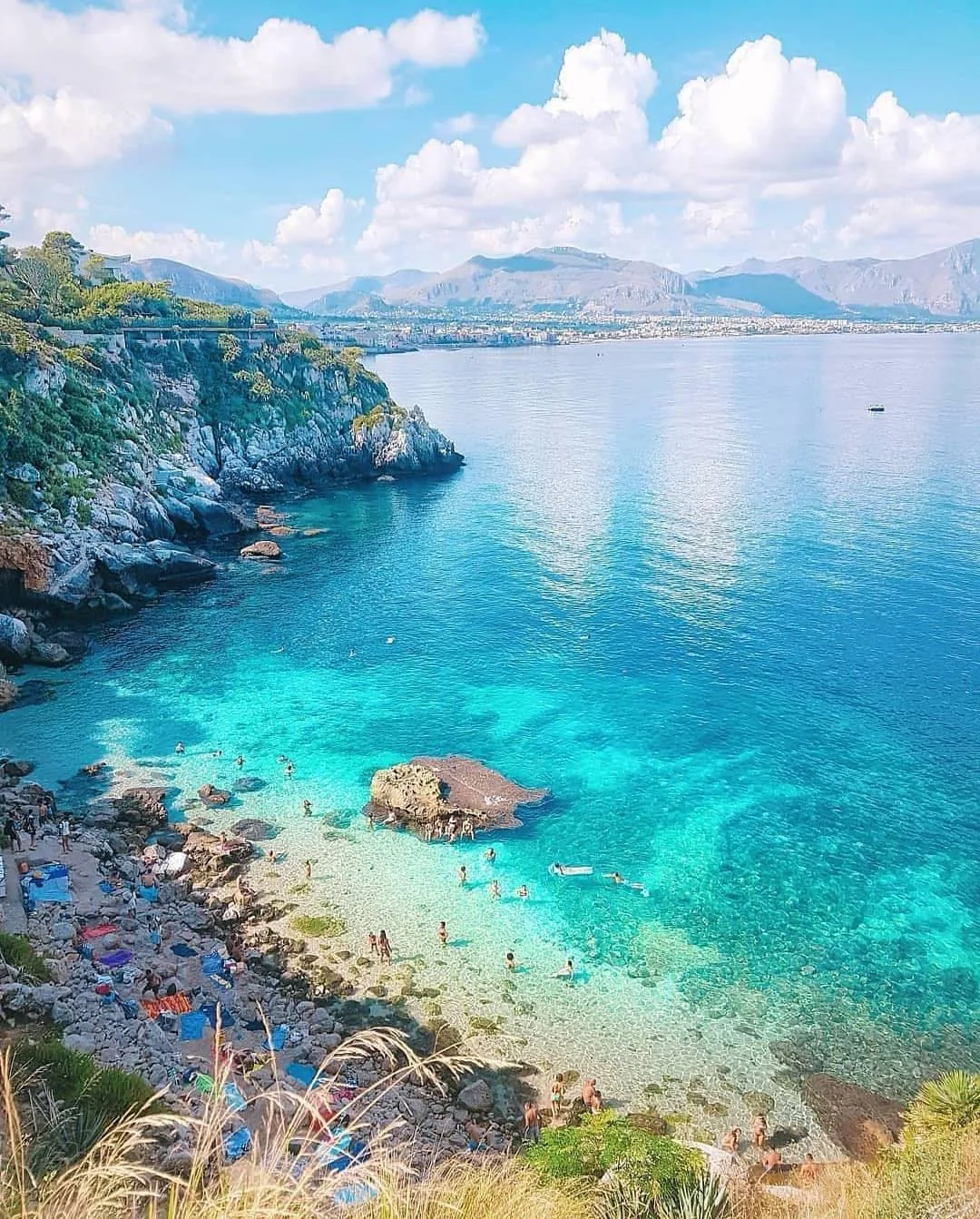Gabbiano Blu