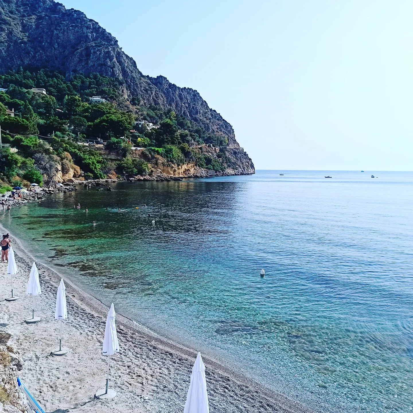 Gabbiano Blu