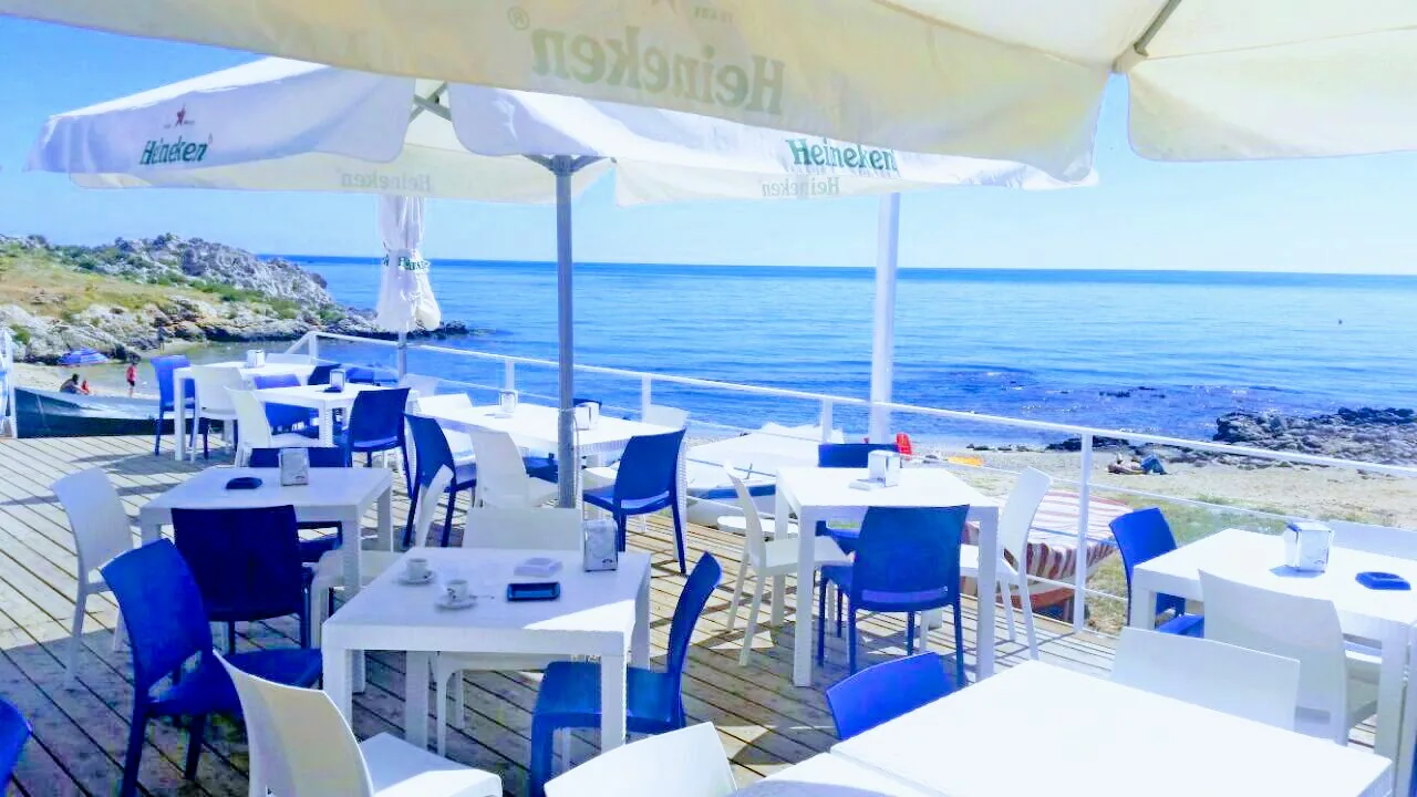 Gabbiano Blu